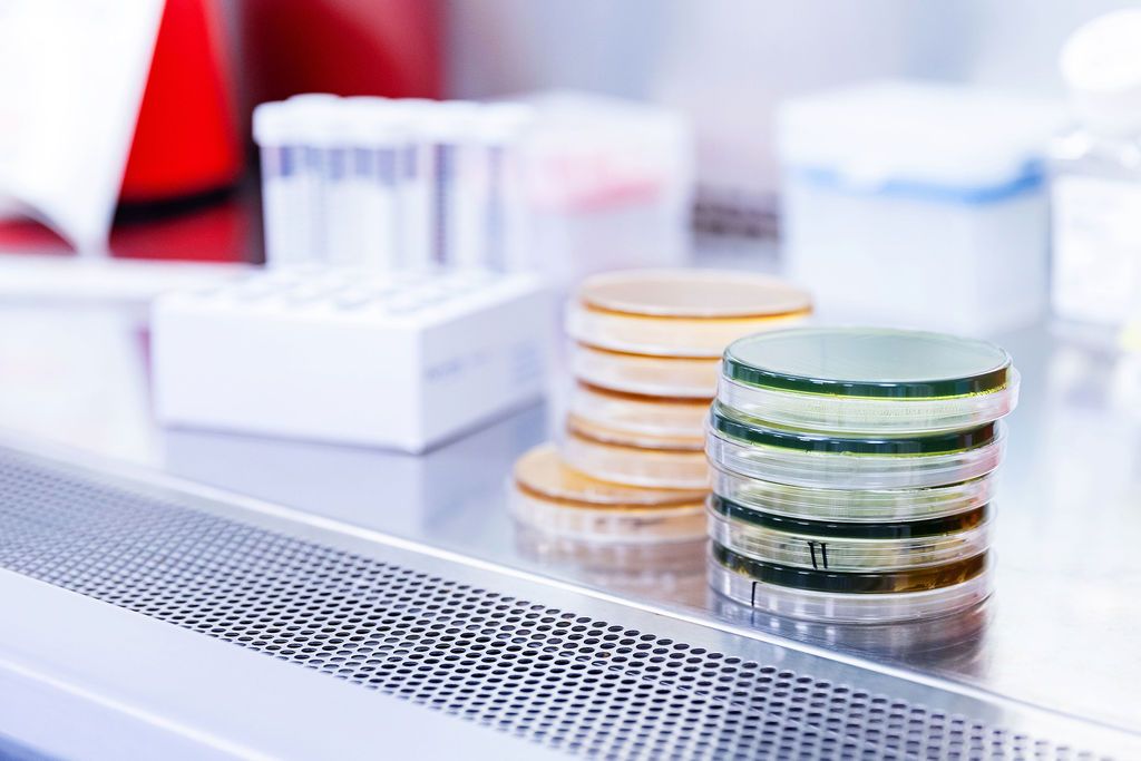 Stacked petri dishes on a lab bench