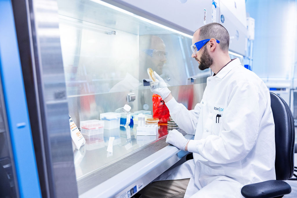 BiomEdit scientist examining a sample in the lab