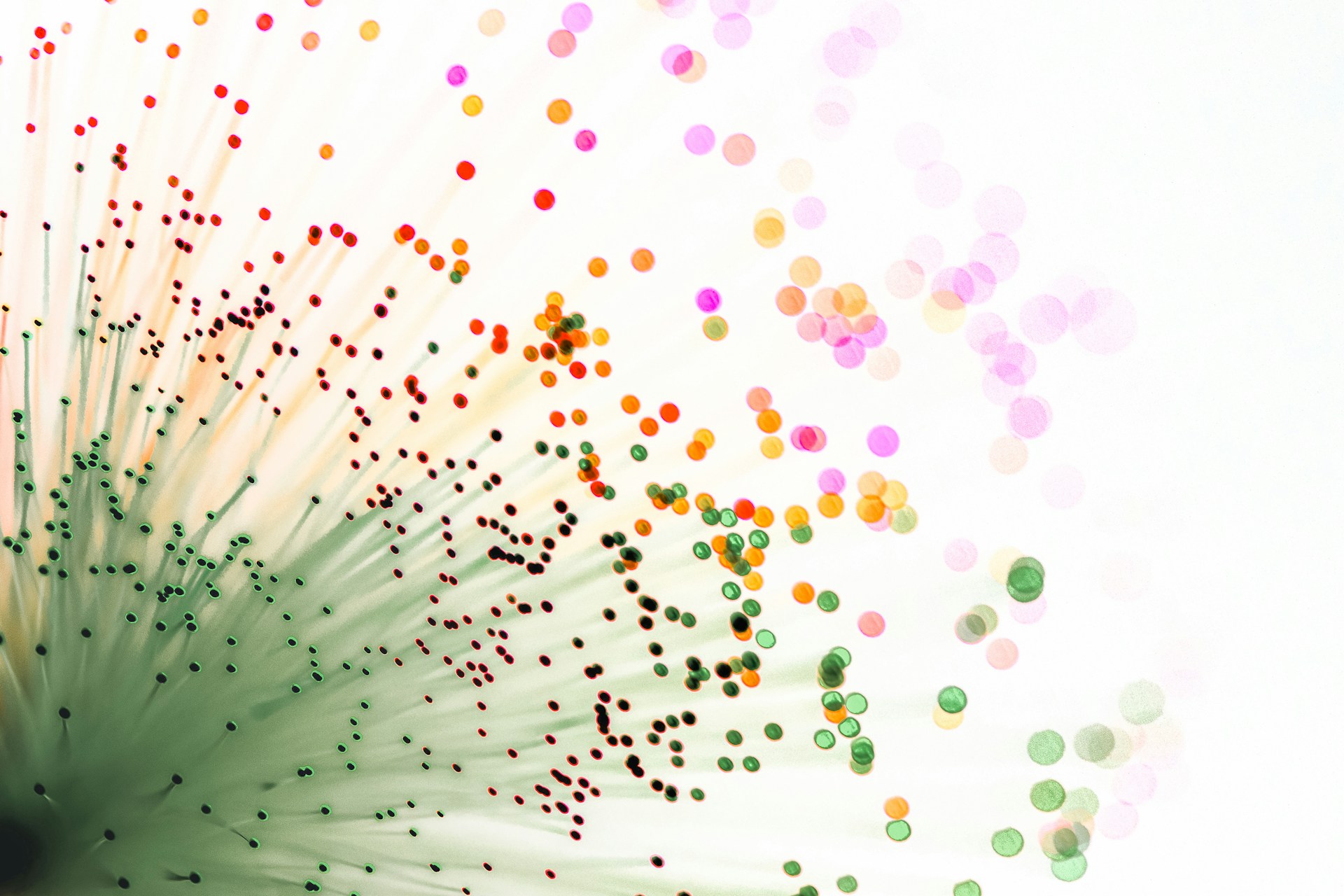 Abstract illustration of interconnected growth and data