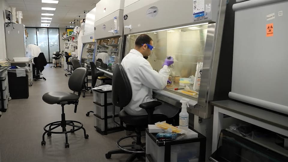 A BiomEdit scientist in a lab coat and safety glasses working at a biosafety cabinet in the lab
